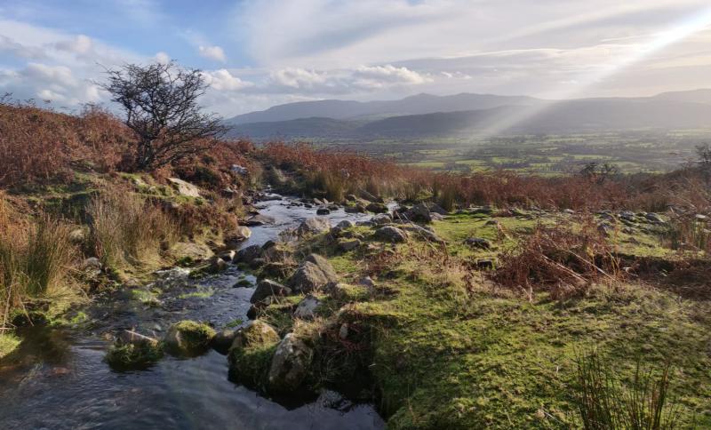 All roads in Tipperary will lead to Kilcash and Slievenamon on Sunday
