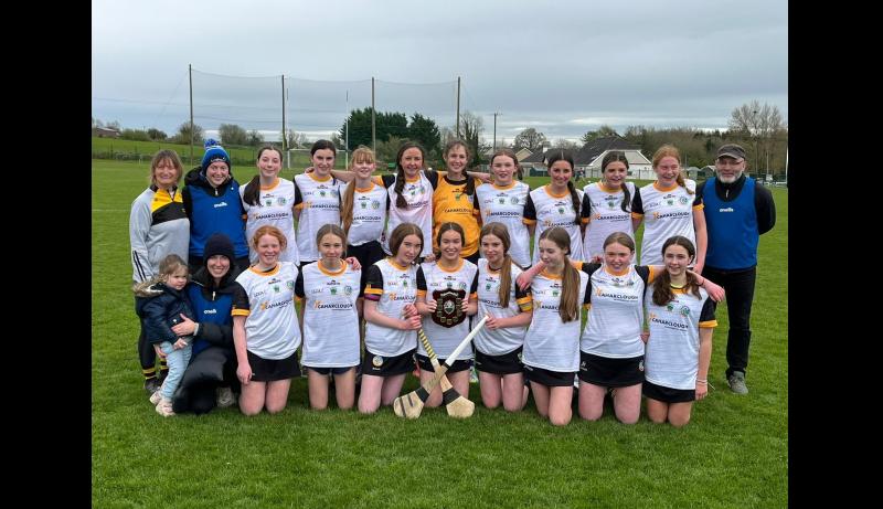 BRILLIANT: Tipperary camogie club creates history in recent Feile final