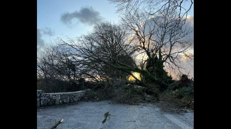 See how Storm Debi's carnage left its mark on communities all over Ireland