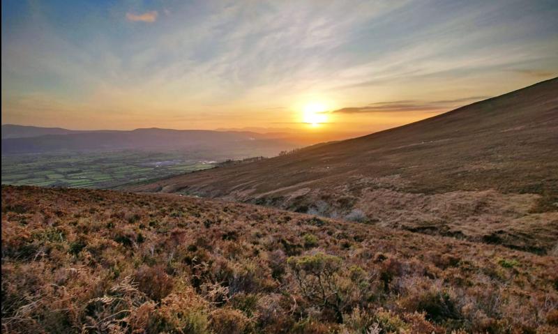 Great sadness at passing of Tipperary siblings in the USA within a month of each other