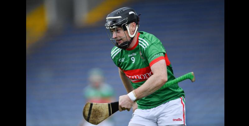 TEAM OF THE YEAR: Senior Hurling Championship 2024