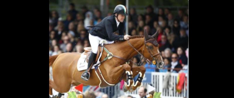 Premier County  showjumper Shane Breen enjoys five star UAE ride last week