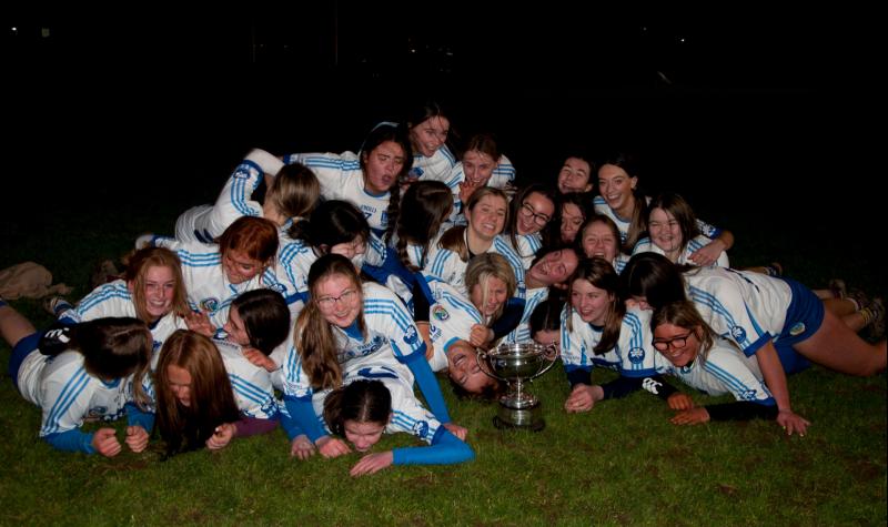 St Joseph's Borris-Ileigh win Munster title