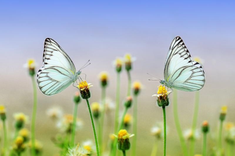  ‘At One with Nature’ photography exhibition opens in north Tipperary village