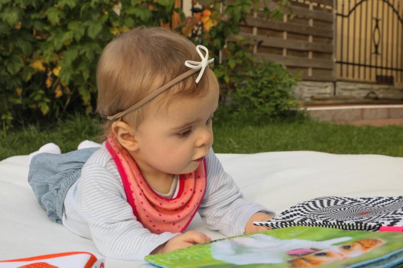 Shocking! Sensory garden in county Tipperary vandalised again!