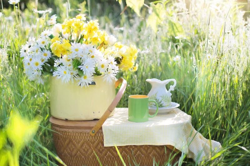 South Tipperary couple hosting fundraising coffee morning in their own home on Saturday 