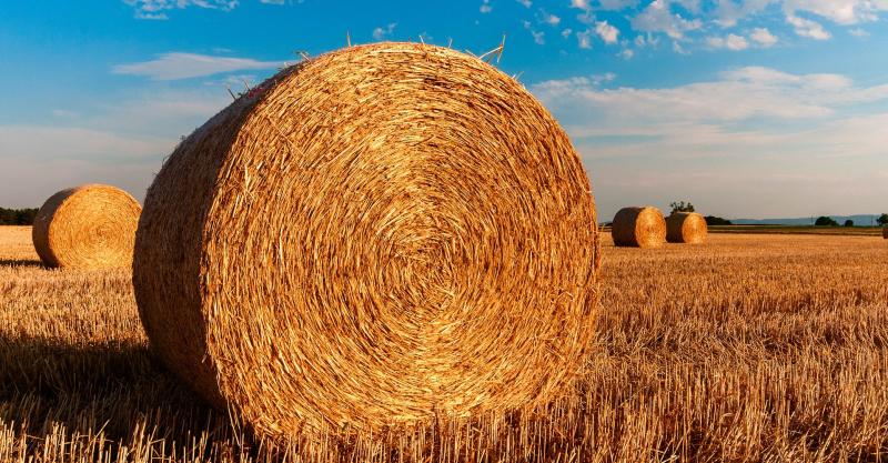 Harvest Thanksgiving in Tipperary - Cahir Service at St Paul's on Sunday next