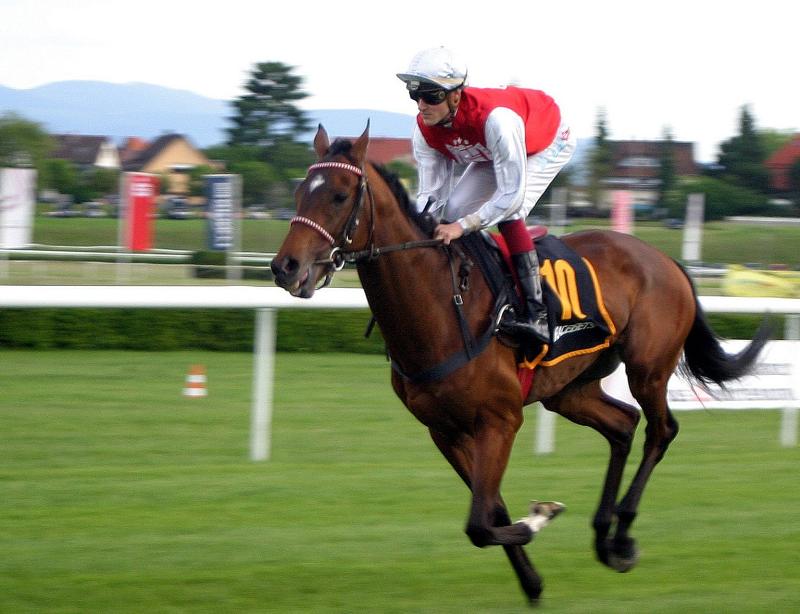 Tipperary trainer provides apprentice jockey with his first-ever winner
