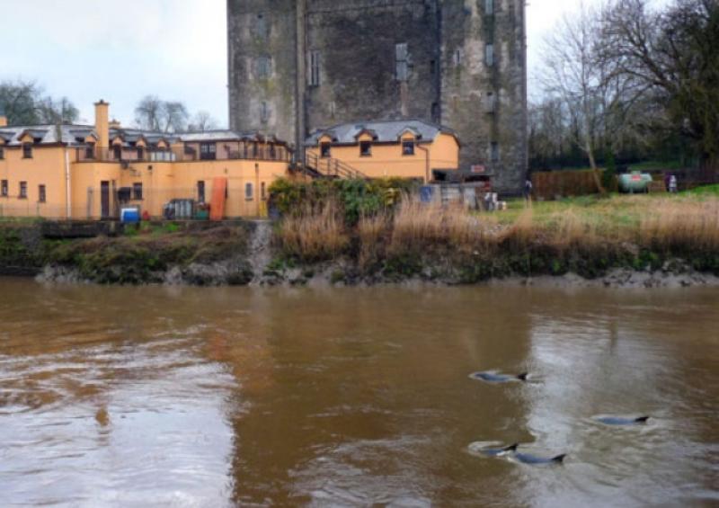 Bunratty Castle and Durty Nelly's