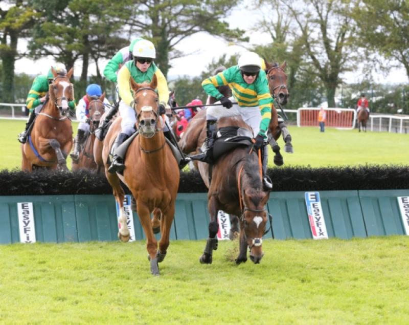 THE PUNTER'S EYE: Galway Races Tips - Day 1 - Monday, July 30