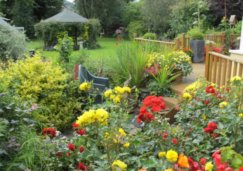Mullinahone community garden
