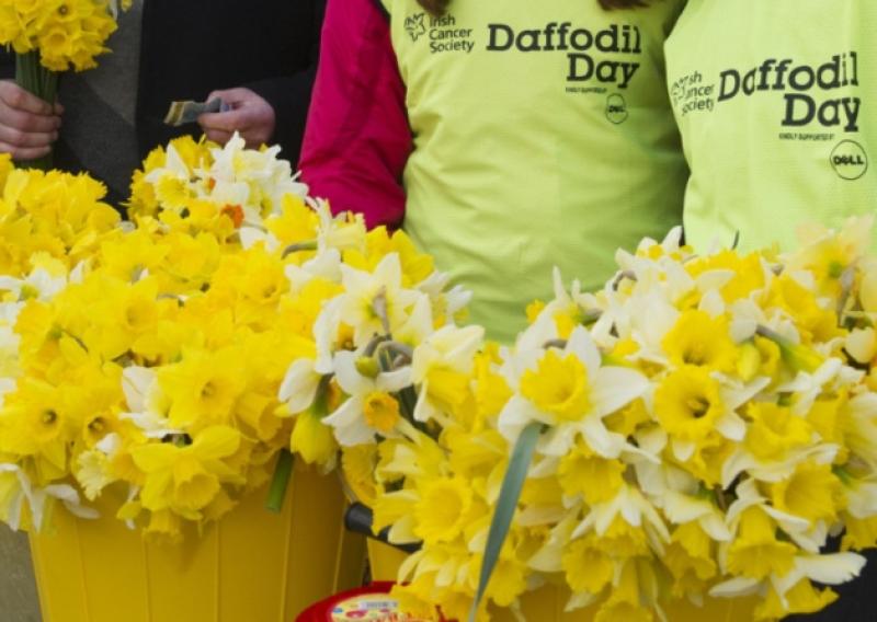 Cashel is gearing up for Daffodil Day 2022 on March 25 