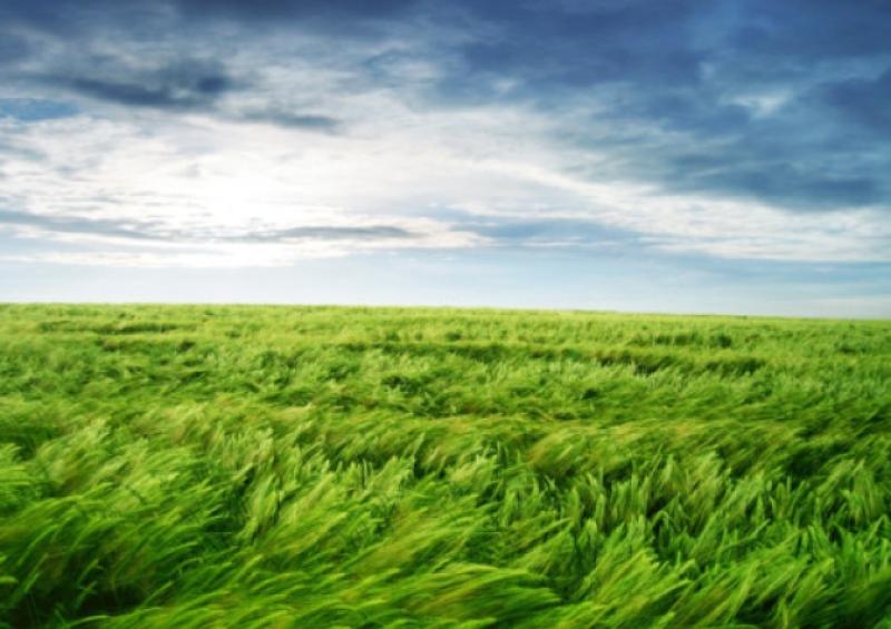 Work to improve mapping of Ulster's farms was carried out in Romania and India.