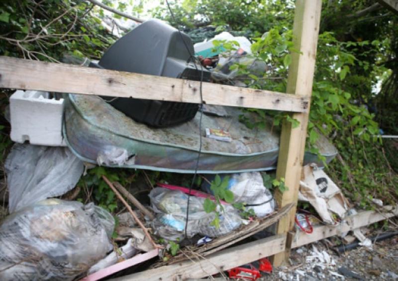 Some of the unsightly rubbish dumped at Ballyrichard, Carrick-on-Suir.