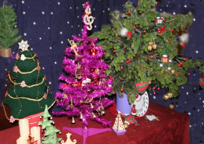 Over 60 stalls have be taken at Nenagh's Christmas Tree Festival