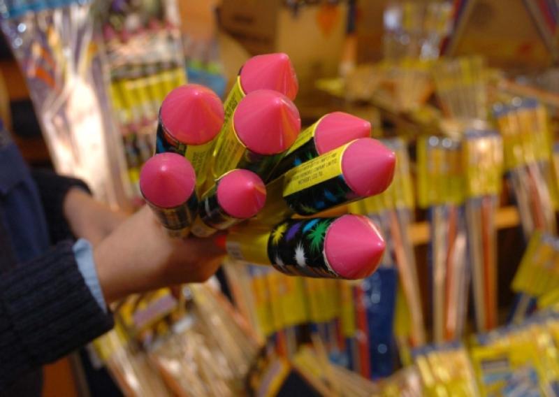 'Some pets can be terrified' - ISPCA asks people to consider effect of fireworks on animals