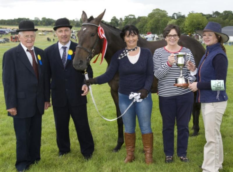 All the results from Clonmel Show 