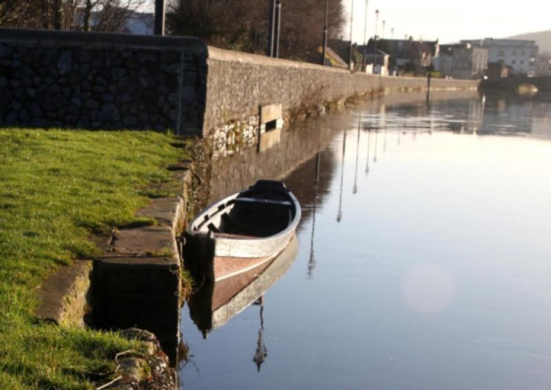 Council urged to restore life guard to river in Carrick-on-Suir