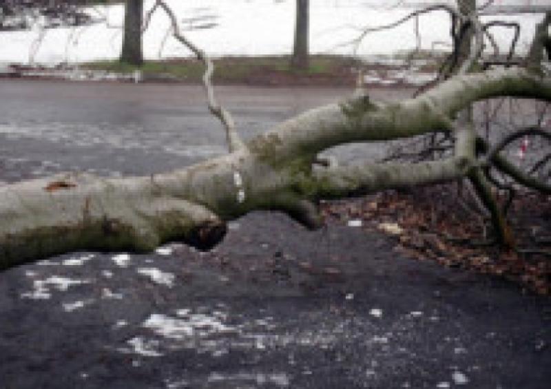 Storm Eleanor