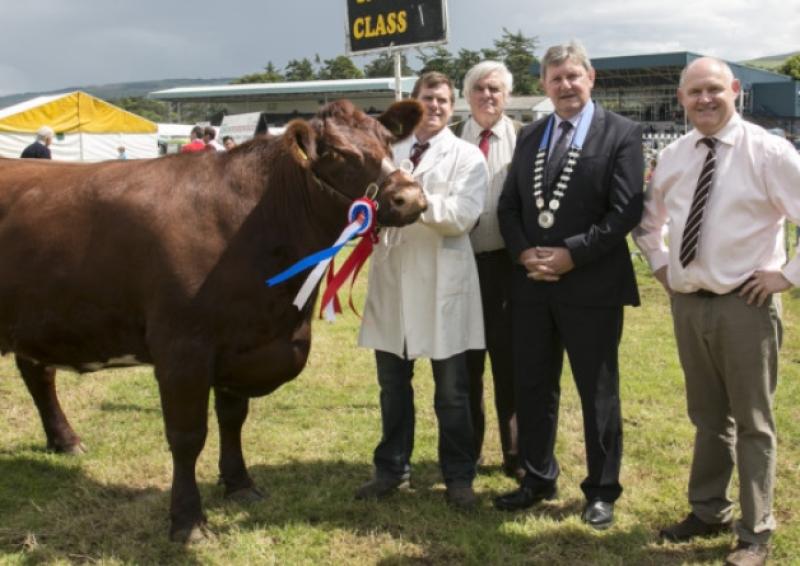 Clonmel Show celebrates its 150th anniversary next year and is looking for artefacts and memorabilia for a special exhibition at Tipperary County Museum.