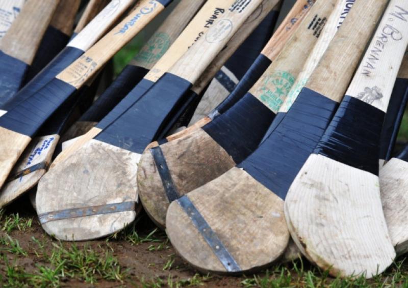 Harty Cup report