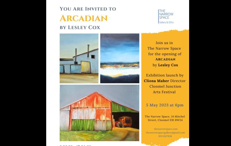 New exhibition at the Narrow Space Gallery in Clonmel set to engage art lovers