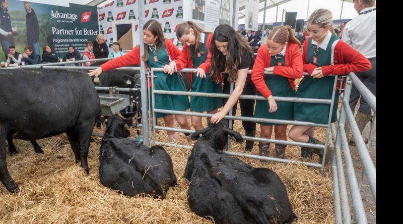 Tipperary students have qualified for the Certified Irish Angus schools competition