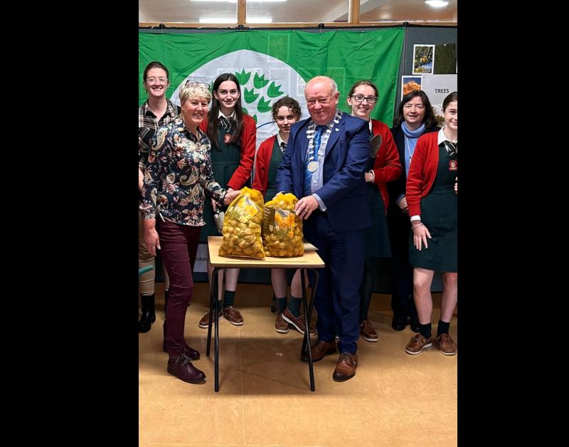 Tipperary students participate in Irish Cancer Society daffodil initiative