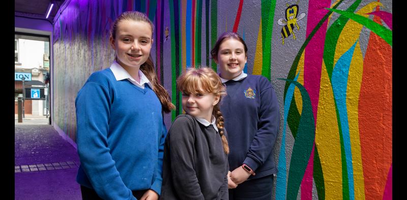 Visionary art project to link Clonmel to river amenity