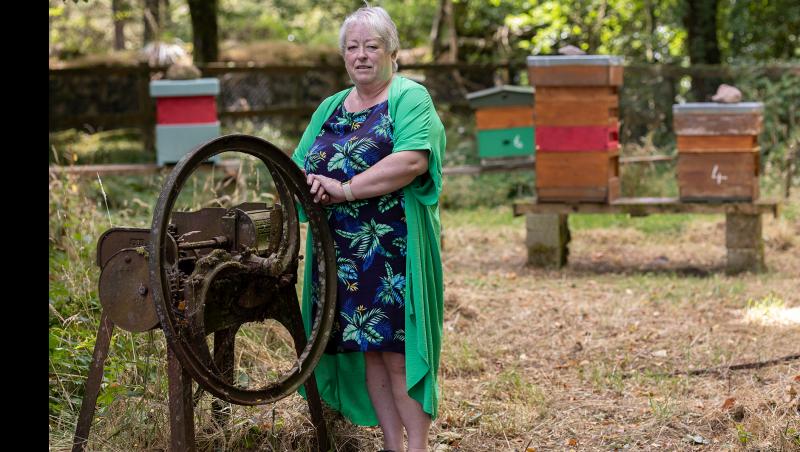 Life is a breeze for Tipperary artisan Maggie on the Knockmealdowns