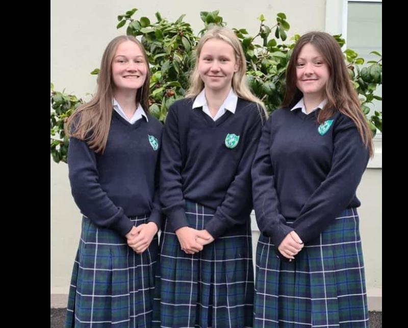 Proud school principal praises four groups of students from St Anne's Secondary School in Tipperary Town for participating in  BT Young Scientist Exhibition final