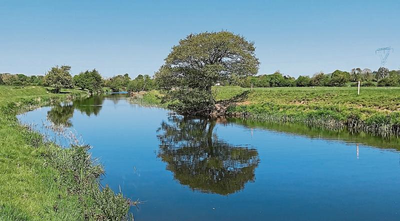 Tipperary waste water treatment plant to have its sludge removal increased by one third