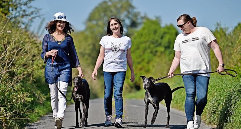 Tipperary greyhound trainers feature in the super new 'Our People, The Generations' project