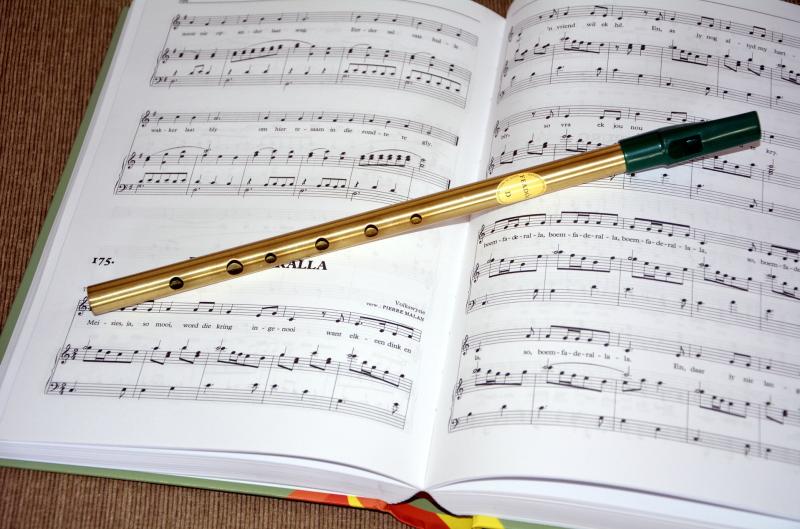 Comhaltas classes resuming in south Tipperary - Enrolment this coming week