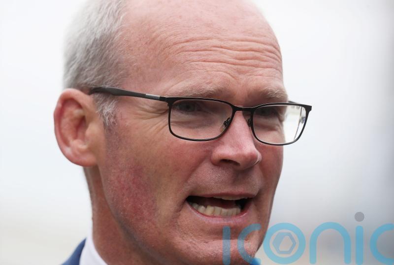 Coveney believes progress on NI protocol possible if EU and Britain work together