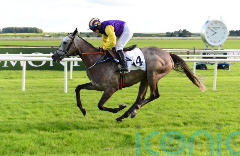 Mullins-trained horse to miss Dubai with another Gold Cup bid on radar