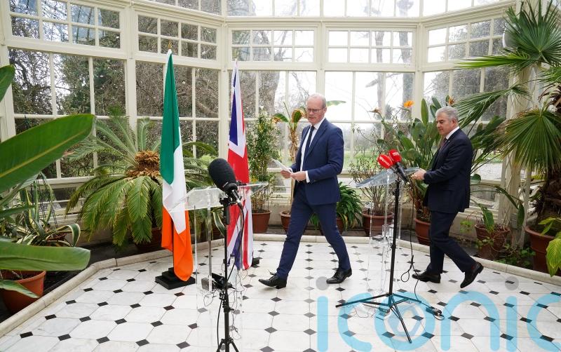 Irish Government urges UK to think again over NI border pass proposal