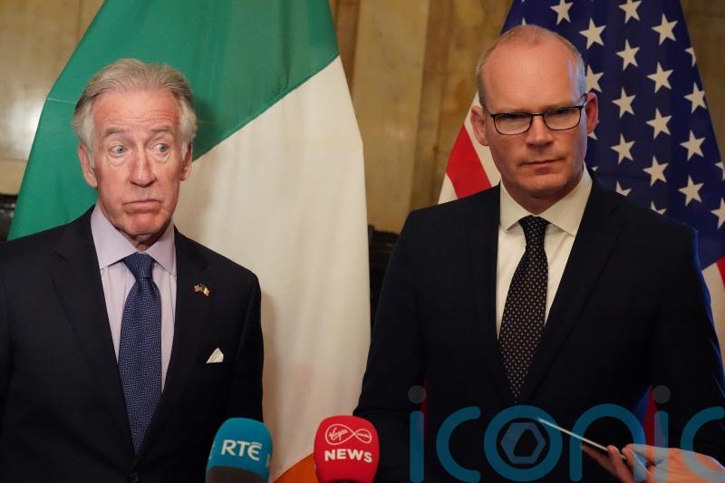 Issue over Northern Ireland Protocol seems 'manufactured', US delegate says
