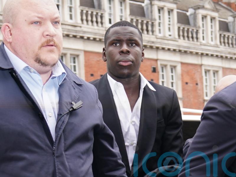 West Ham defender given community service over ‘reprehensible’ cat attack video