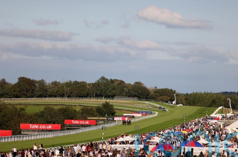 Irish trainer eyes Stewards' Cup with French horse