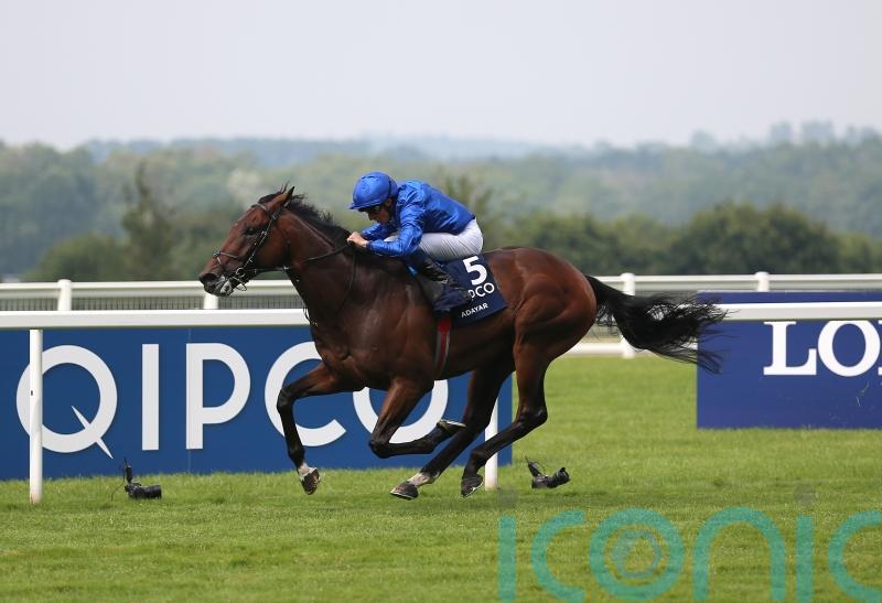 Appleby waiting on Adayar prep options before big autumn Champion Stakes targets
