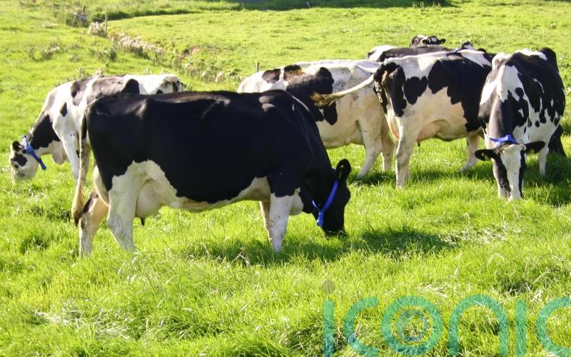 Politicians label 25% compromise on agriculture emissions as ‘failure’