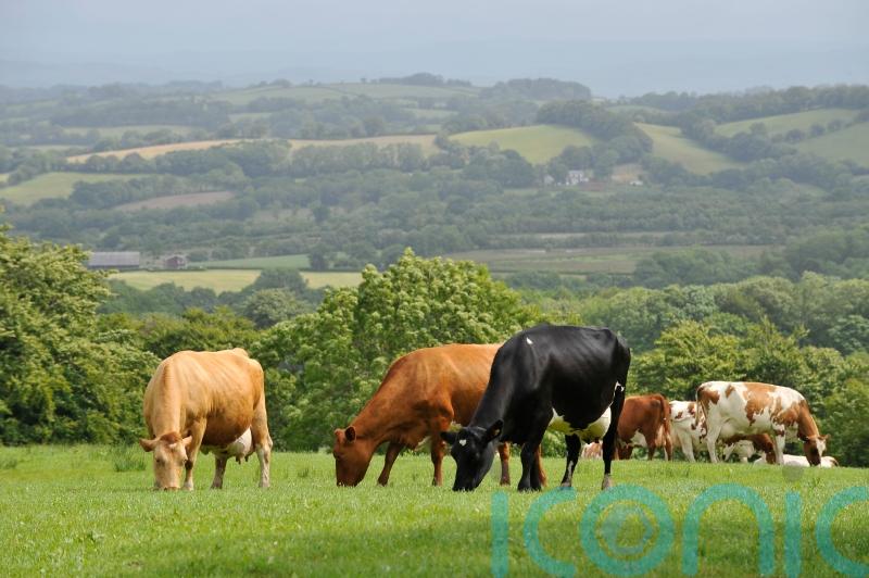 Widespread anger among farming communities over ‘unrealistic’ emissions target