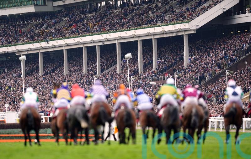 Attractive and enjoyable experience' - Cheltenham to cap Festival attendances in 2023
