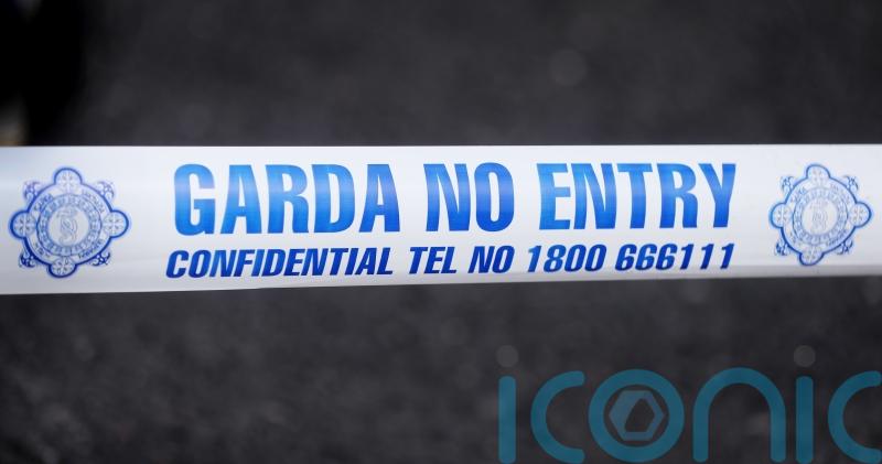Garda witness appeal after body of man found in Royal Canal