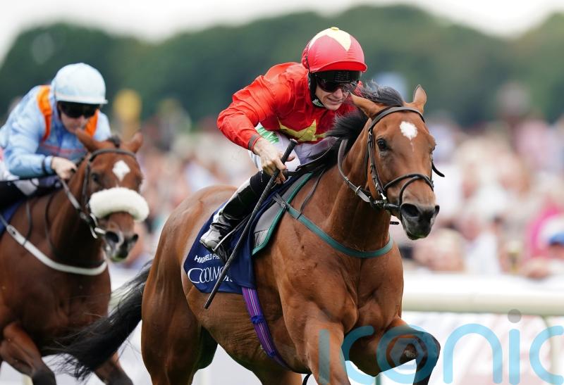 Flying Five bid at the Curragh a possibility for Highfield Princess