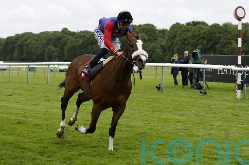 Queen’s horse King’s Lynn will not run at the Curragh