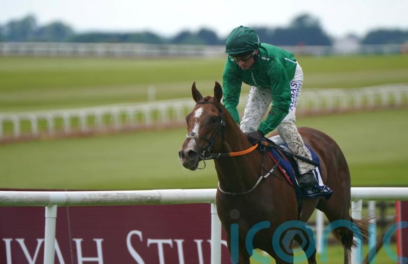 HMS Seahorse sets sail for Curragh riches later today