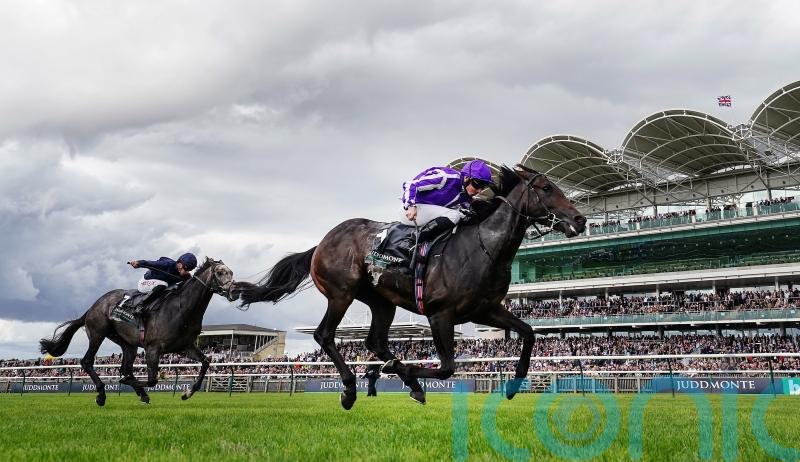 Blackbeard in Breeders’ Cup frame after Middle Park glory