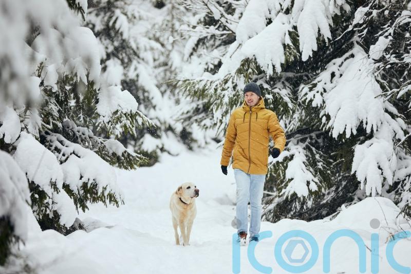 GUIDE: How to dress in arctic weather
